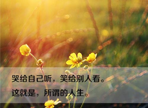 如果您想得到它