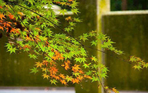 编辑编辑了一些关于祝您幸福和幸福的有趣句子