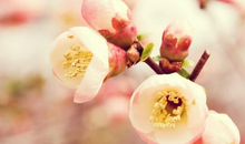 2020失恋个性签名