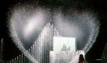 感动的表白句子