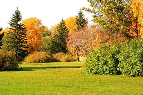 您有自己的庆欢度