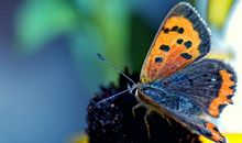 生活不允许我任性朋友圈说说