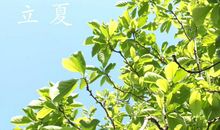 关于二十四节气立夏的诗
