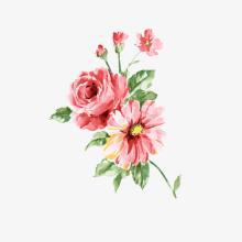 如果您努力攀爬