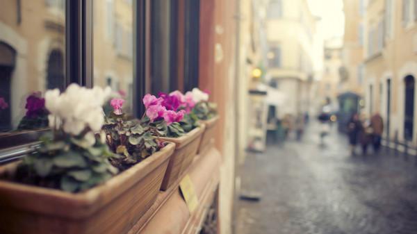    关于失踪的一句话  1