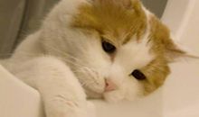 和男友吵架不开心说的句子