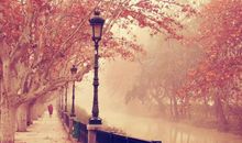 关于秋天落叶的优美句子