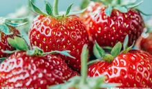 形容十二月开心的句子