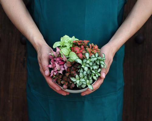 编辑整理了一些有关花儿幸福心情的句子