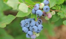 不开心的日子总会过去的句子