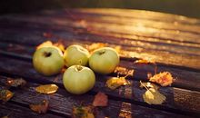 和一闺蜜玩很开心的句子