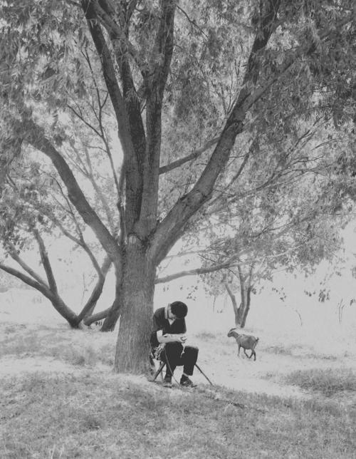 我一生结交了很多朋友