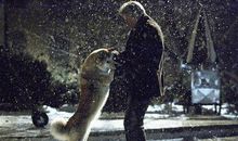 忠犬八公的故事经典台词