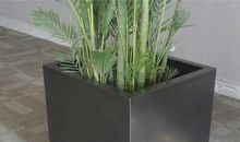 形容花开心的句子有哪些