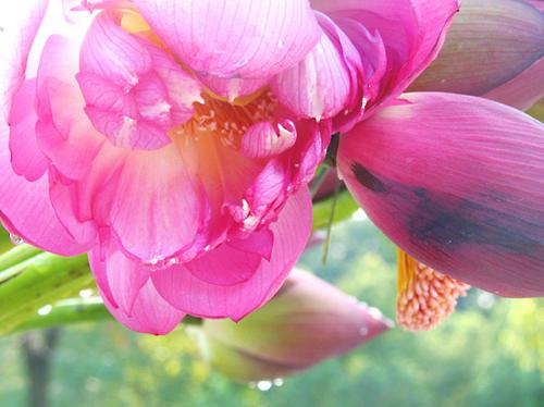 让我们来看看编辑编辑的有关幸福生活的句子