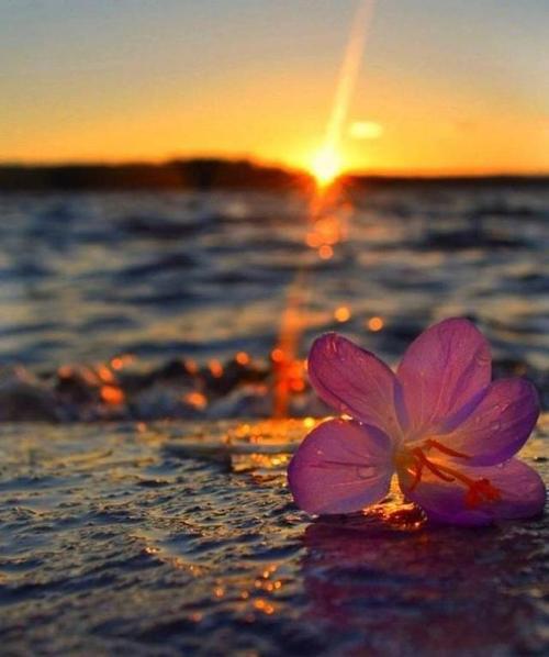 疾病是一件坏事