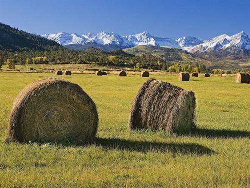 每年都会有一些醒目的口号