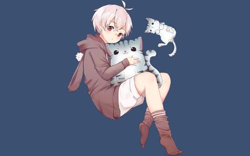 让我们来看看编辑器编辑的关于快乐单身的句子