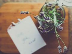 我对你的爱永远比昨天多一点