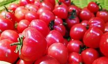 喜欢吃圣女果的说说 吃圣女果发朋友圈心情