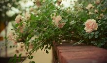 一句话说透人生