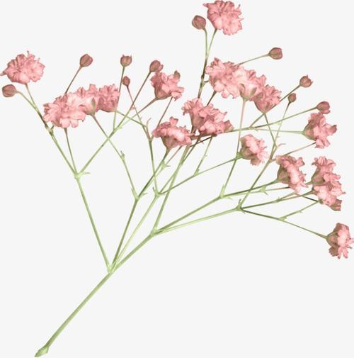 生活是为了让自己开心