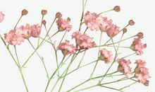 证明自己开心的句子