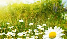 关于朋友的诗句