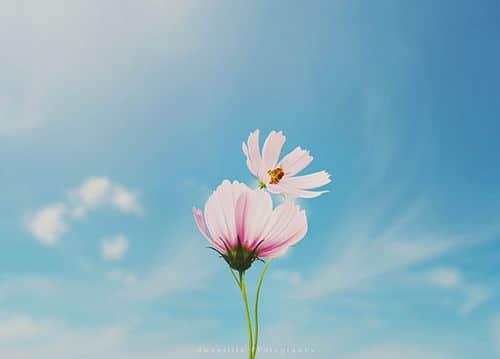 我失去了我的爱