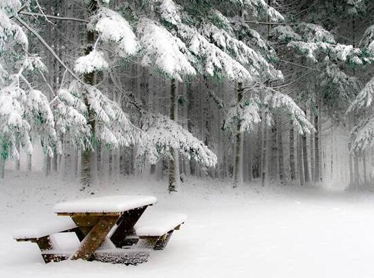    1>  在这个凉爽的夏日