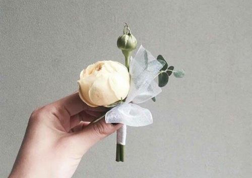 当我把所有的想法都公开时