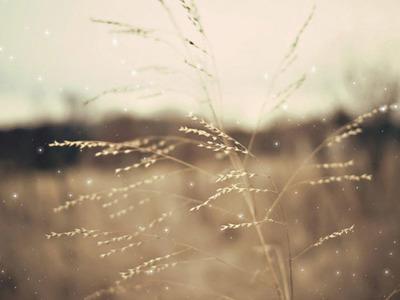 除了巫山不是云