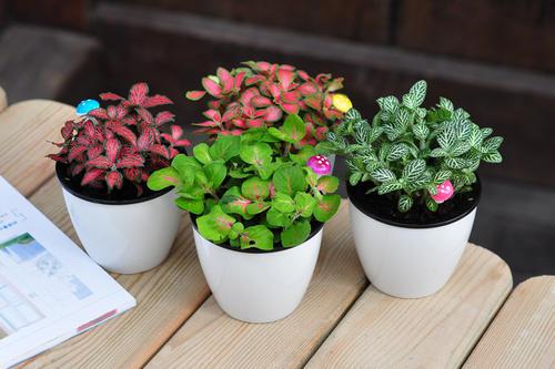 编辑编辑了一些有关使女孩开心的句子