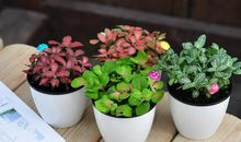 会让女孩子开心的句子