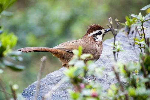 希望大家都喜欢  1
