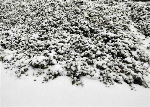 对于北部的朋友来说