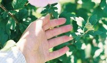 提醒自己要自律的签名 提醒自己该努力的句子