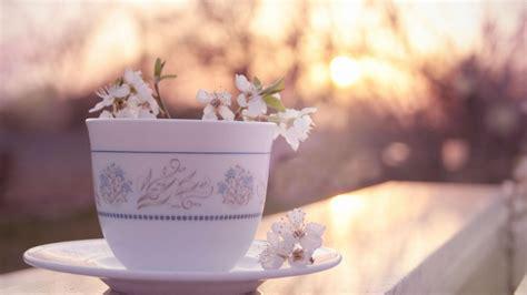 离别是为了更好的相遇