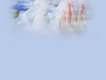 请享受有关兄弟们向兄弟们说再见的句子