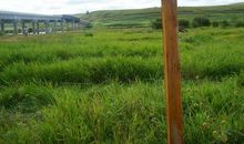 友谊破裂的句子