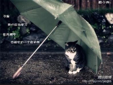 那些害怕受到伤害的人永远不会获得真正的幸福