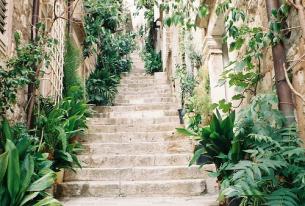 成功的机会更大