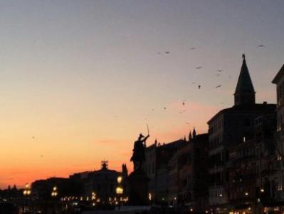 令人失望的悲伤不足以制止