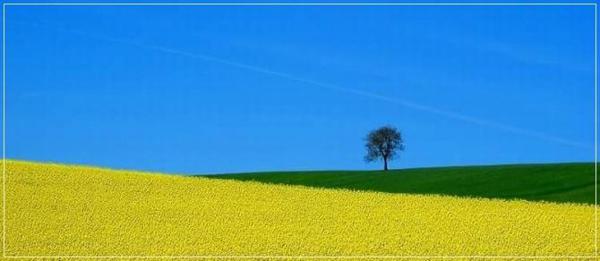 外界很难改变你