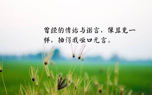 远处什么也看不见