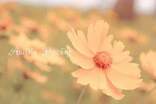 懒散地坐在窗前