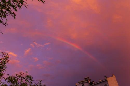 让我们看一下由编辑组织的一些美丽的家庭情感句子