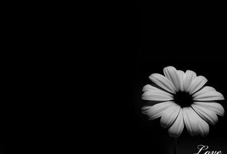 现在是雾蒙蒙的