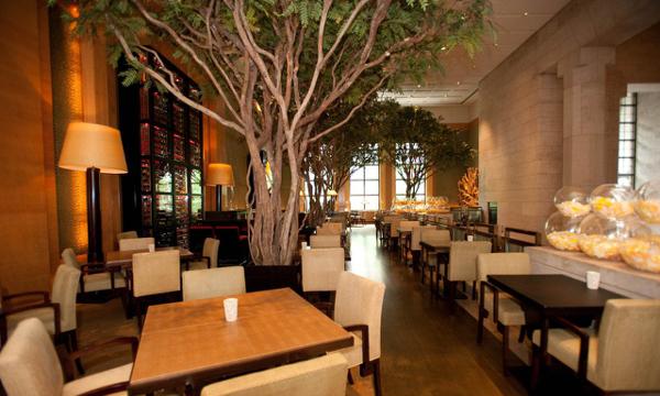 饭店的发展越来越好