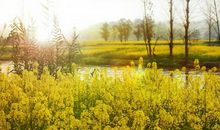 一个人开心的句子